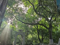 -千佛山风景名胜区