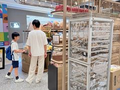 -PAPER STONE BAKERY(天汇广场店)