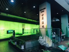 -中国湿地博物馆