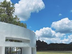 -紫马岭公园