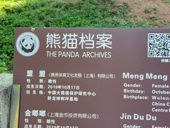 -都江堰中华大熊猫苑
