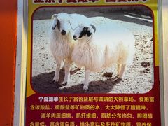 -美美餐厅(海珠首店)