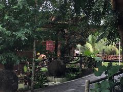 -海南槟榔谷黎苗文化旅游区