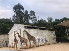 -泉州海丝野生动物世界