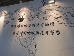 -MR鹅外