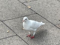 -人民广场