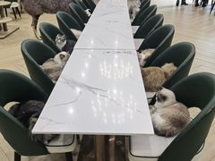-安格丽娜·狗咖·猫咖羊驼咖(春熙路百盛商场店)