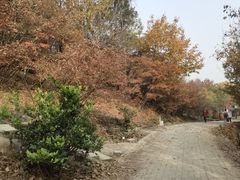 -虞山风景区