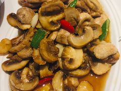 小炒口蘑-眉州东坡(远洋未来广场店)