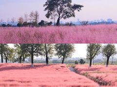 -汉长安城未央宫国家考古遗址公园