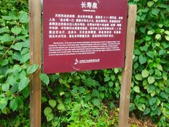-大连天门山国家森林公园