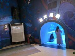 -洛阳龙门海洋馆