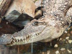-上海大自然野生昆虫馆