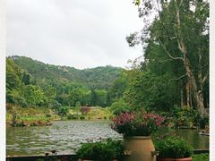 -深圳仙湖植物园-停车场