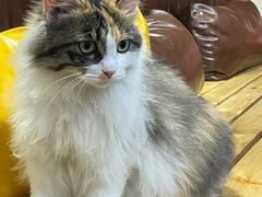 -陈记农家挂炉烤肉(雁南一路店)