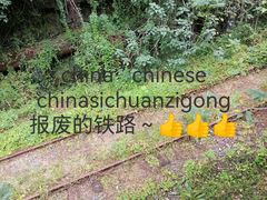 -约翰·菲茨杰拉德·肯尼迪国际机场