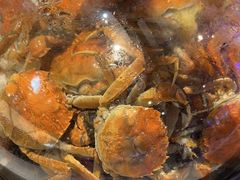 -半岛听涛蒸汽海鲜自助(K11店)