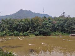 -大雁山风景区