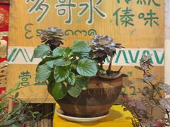 -多哥水傣味餐厅(司马巷店)