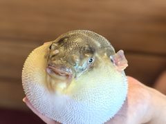 -永安鱼庄·镇江菜(丁卯店)