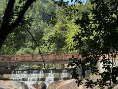 -广州白江湖森林公园