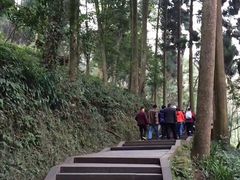 -青城山