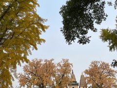 -北京石刻艺术博物馆