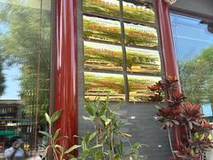 -老三羊汤【北兴隆街店】