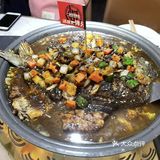 沈阳活鱼现烤专门店，童叟无欺，质优价廉快快冲