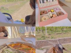 -安德鲁户外烧烤帐篷营地(马泉营店)