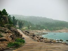 -广东惠东海龟国家级自然保护区