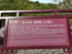 -灵山