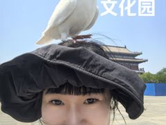 -天津妈祖文化园