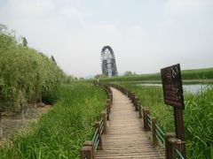 -苏州太湖湖滨国家湿地公园