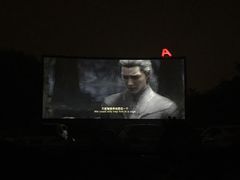 -枫花园汽车电影院(朝阳公园店)