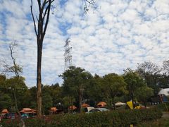 -汤山温泉房车营地 茶温泉