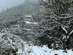 -湖州龙王山景区
