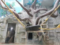 -石家庄市动物园