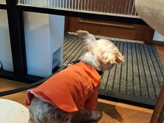 -Line来恩咖啡(石厦花园店)