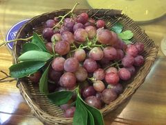 -邛海风味特色菜馆