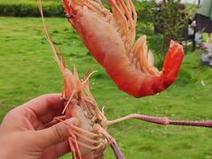 -七的湖·晚芳亭·阳澄湖农家菜·大闸蟹(莲花岛店)