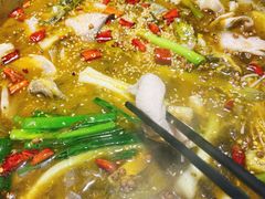 -云鱿记鱿鱼鸡·野生菌火锅(人民南路店)