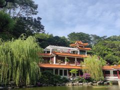 -深圳仙湖植物园