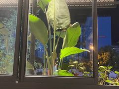 -赛维利亚中西餐厅(仁怀店)