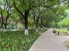 -中央公园(苏州工业园区)