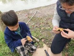 -顾村公园3号门停车场