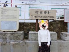 -南丫岛