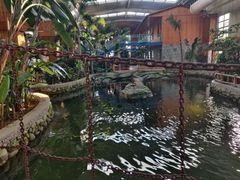 -南宫五洲植物乐园