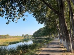 -东郊湿地公园