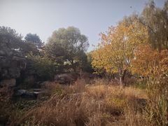 -燕郊植物园